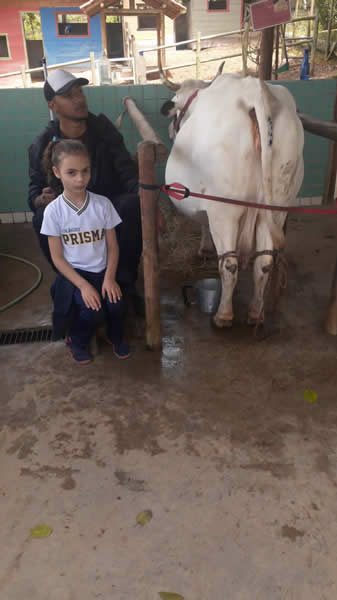 Bicho Mania 2022